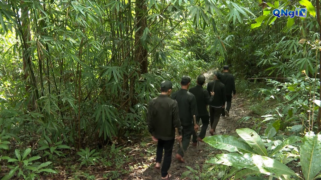 Dòng tiền xanh nuôi rừng bền vững | DỊCH VỤ MÔI TRƯỜNG RỪNG