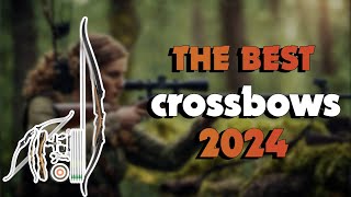 The Best Recurve Bows 2024 in 2024  Must Watch Before Buying!