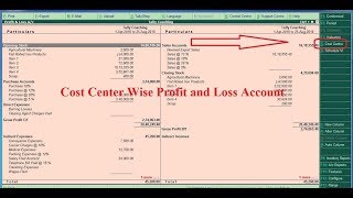 Tally TDL for Cost Center wise Profit and Loss Account -  Tally Add on for Cost Center wise P &  L