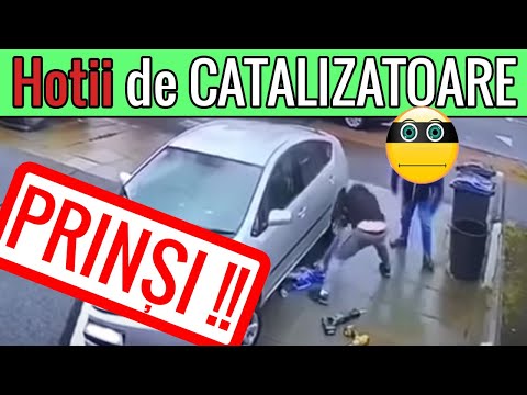 HOTII de CATALIZATOARE.. CUM opereaza ?? - Theo Pop