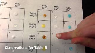 Isha's and Maggie's Ionic Compound Lab