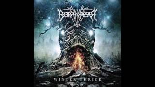 Borknagar - Cold Runs The River