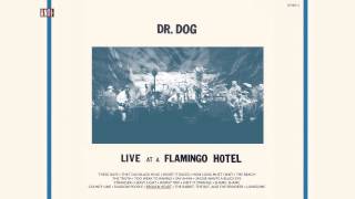 Vignette de la vidéo "Dr. Dog - "Broken Heart" (Full Album Stream)"