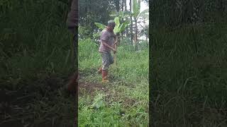 Si Bolang Bocah Petualang sibolang