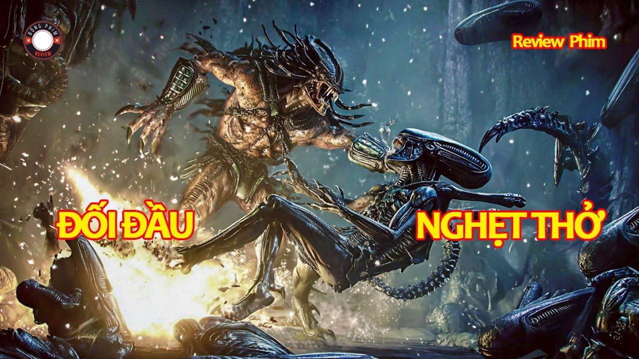 [Review Phim] Trận Chiến Đẫm Máu Giữa Kẻ Săn Mồi Và Loài Quái Vật Ngoài Hành Tinh