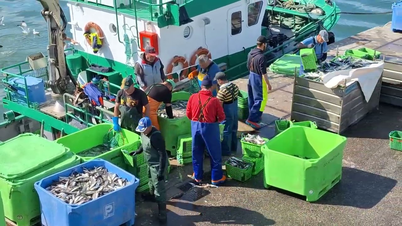 Barcos, Homens e Cais 14