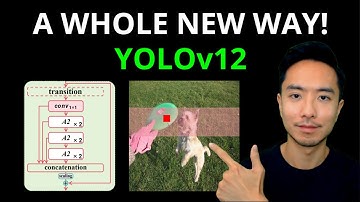 YOLOv12: Algorithm, Inference and Train Custom Dataset