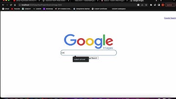 CS50W   Project 0 Search