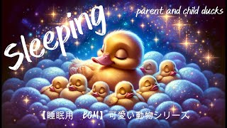 【睡眠用　BGM】可愛い動物シリーズ