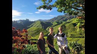 Tea time in Cameron Highlands