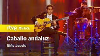 Video thumbnail of "Niño Josele – “Caballo andaluz” (¡Feliz 2023!)"