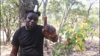 James Chimoto - Nzimu Wachilima Trubute