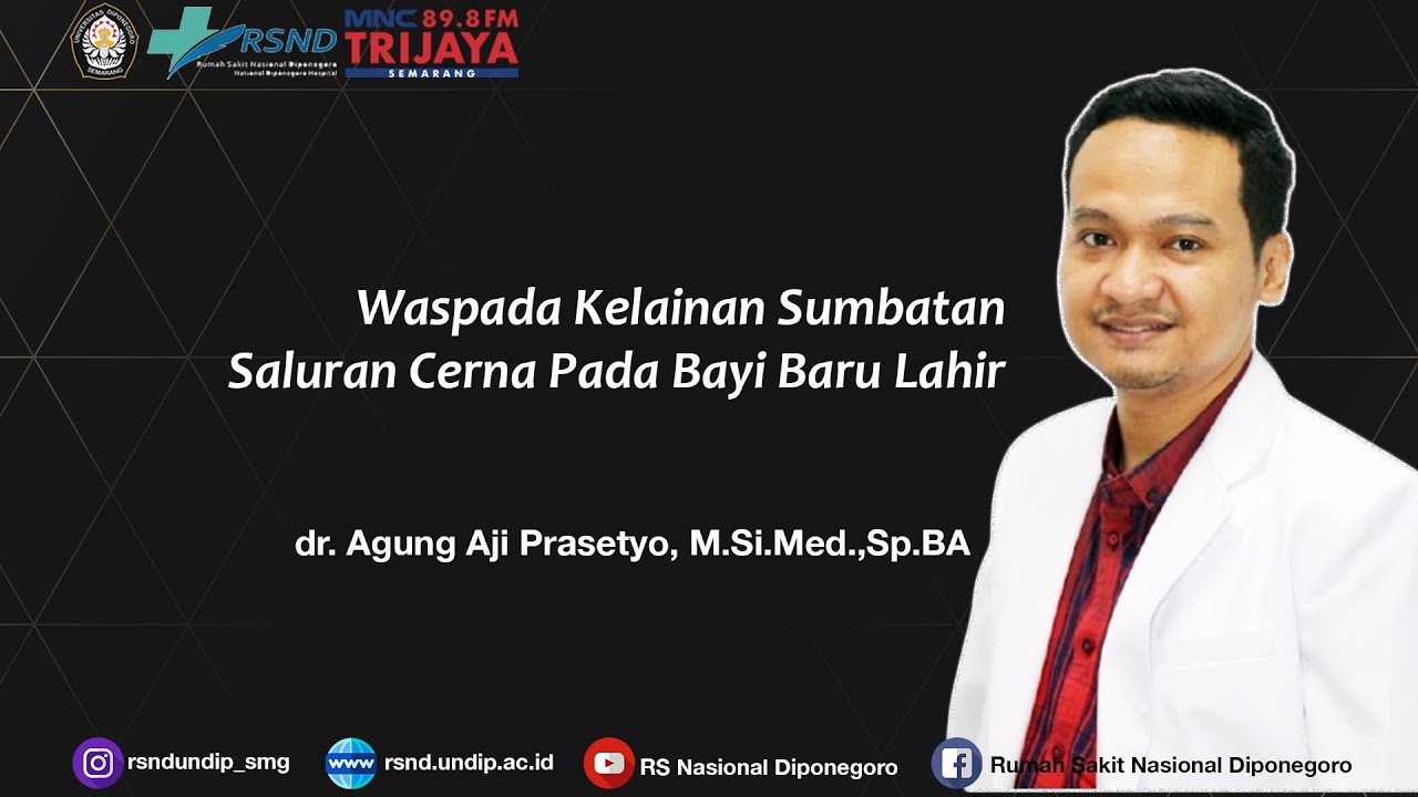 TalkShow Healthy Life 