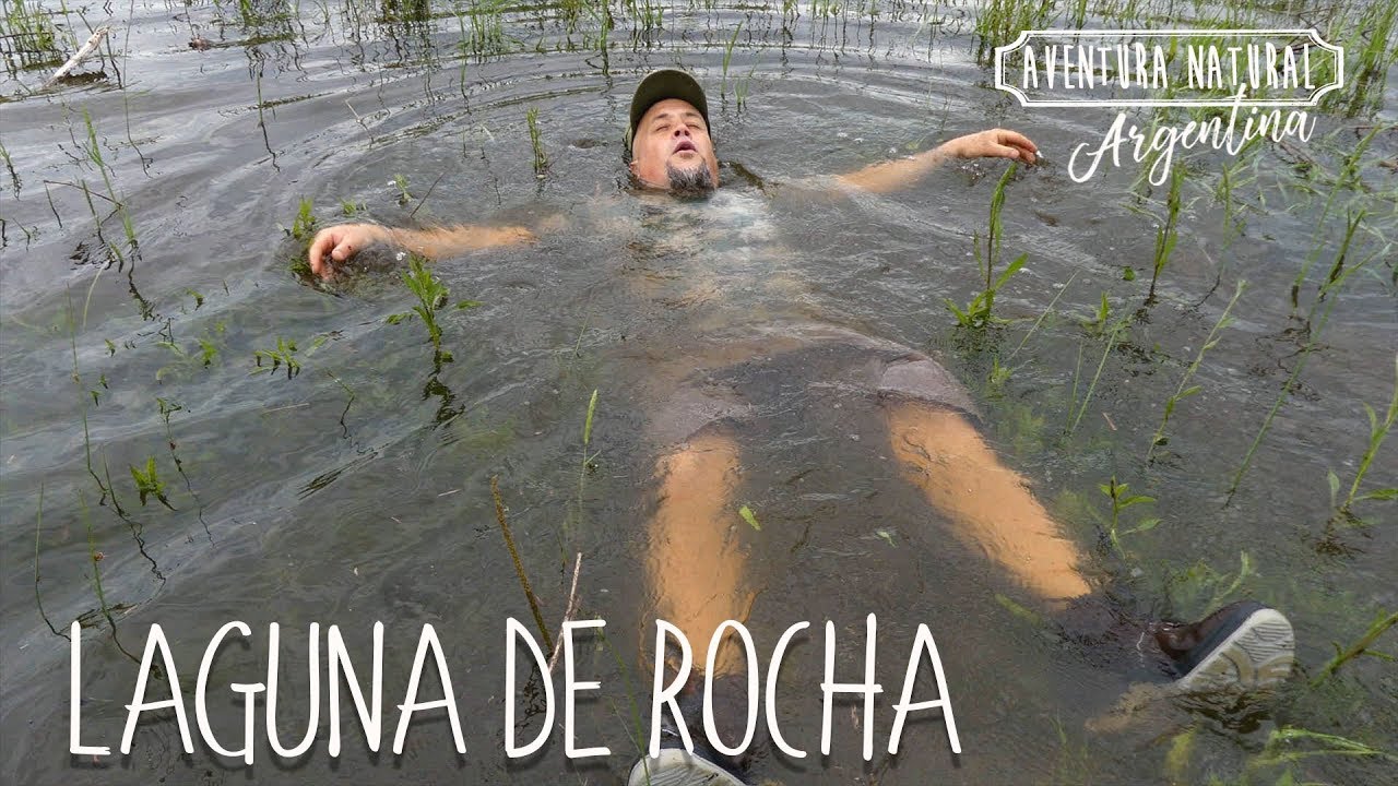 Vuelo Sobre la Naturaleza: Relevamiento Aéreo de la Laguna de Rocha