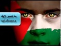 وطن بلا هوية مقطع للتشويق للشاعر الفلسطيني سامي الوحيدي
