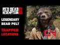 Red dead redemption 2  legendary bear pelt  trapper locations