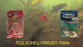 FISH DREAM &quot;КАРАСЬ ЧЕСНОК&quot; и ФИШКА &quot;КАРАСЬ ЧЕСНОК&quot; подводная сьемка