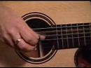 Martin Simpson: Medley of Celtic Airs