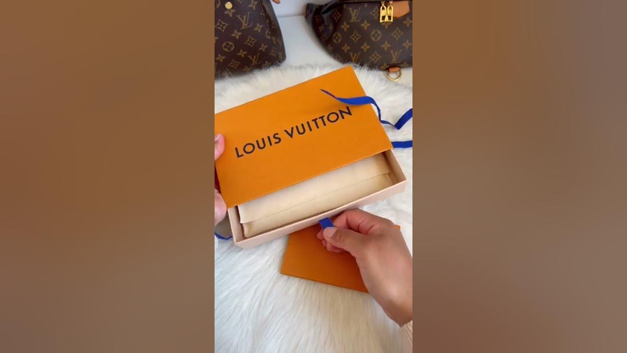 Louis Vuitton Bumper Pallas iPhone 13 Pro Case