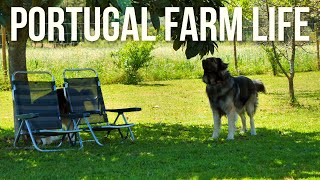 Rural Portugal is Beautiful in Spring | PORTUGAL FARM LIFE