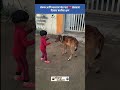 Viral Video 🔥 बाळ आणि वासराची धमाल खेळ सुरू