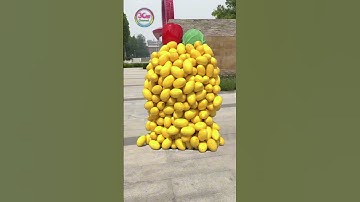 Create humanoid fruit and vegetable characters🥭🧄 that can stand up, moving and fall down...