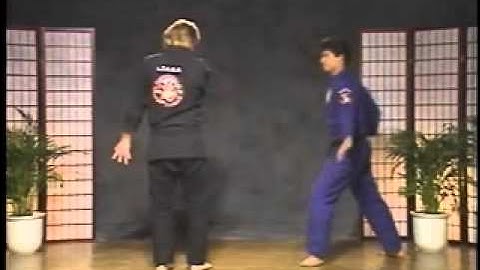 KENPO 17-PRANCE OF TIGER(G.Master Larry Tatum)