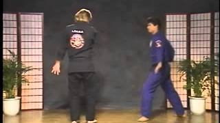 KENPO 17-PRANCE OF TIGER(G.Master Larry Tatum)