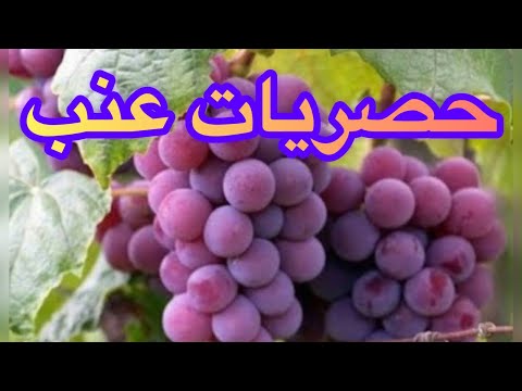 كل ظالم وله نهاية