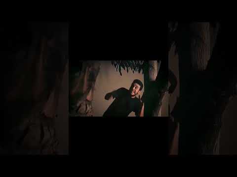 أغنية مش سالمين