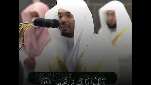 القارئ ياسر الدوسري | ارح سمعك.. تلاوة هادئة تريح القلب والعقل💙🎧