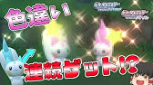 最低で最高な超ド陰キャ害悪戦術 70lv台のパチリス4匹で 強化後3周目以降のチャンピオンシロナを完膚なきまでに叩きのめす ポケモンダイパリメイク ポケモンbdsp Youtube