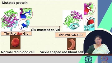Discussion Class #swayamprabha #CH17SP
