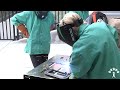 Glover Falcon Welders Quiz