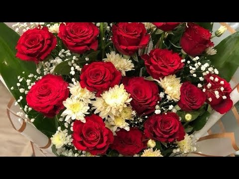 بدأت قناة   بث ا مباشر ا أهلا وسهلا بالحضور الكرام