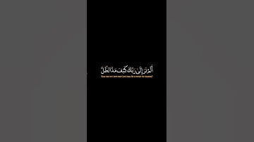 كرومات قران شاشه سوداء | القارئ: محمد الفقيه | الم ترى الى ربك كيف مد الظل..