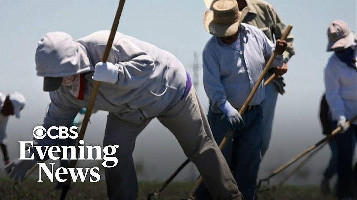 Reporter's Notebook: Trump's immigration exceptions