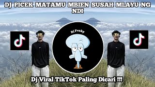DJ PICEK MATAMU MBIEN SUSAH MLAYU NG NDI||DJ LALI KONCO MENGKANE VIRAL TIKTOK