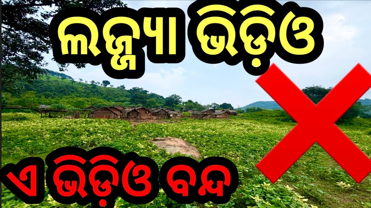 ଦୋଷୀକୁ ଧର❗️ଲଜ୍ଜ୍ୟା ଭିଡ଼ିଓ❗️#triballife #Charigarhvlogs #odiavideo #travelfood #odisha 