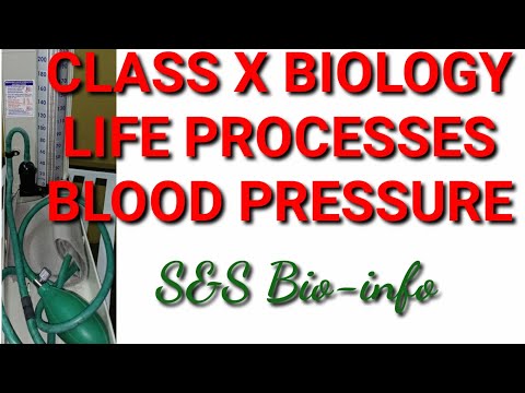 CLASS X BIOLOGY LIFEPROCESS Blood Pressure CLASS X BIOLOGY LIFEPROCESS Blood Pressure
