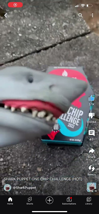 Shark puppet saying yeah