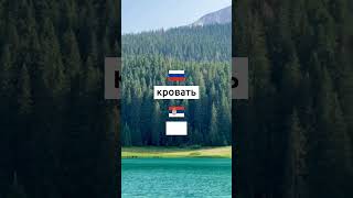 Учим сербский каждый день. Упражнения и викторины на сербском языке