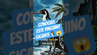 sorprendente verdad? #Kumimanu #PingüinoGigante #DatosCuriosos #Prehistoria # #Shorts #YouTubeShorts