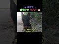 金網から救ったワンコを 乗せたら… 後悔中の表情 🤣💦
