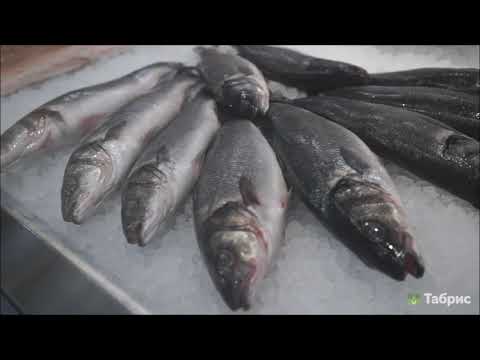 Video: Co jsou vykládky ryb?