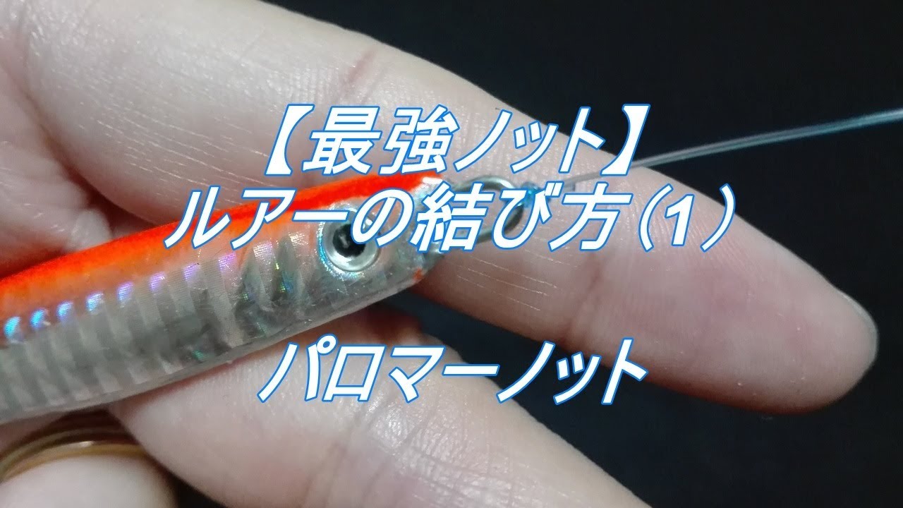 最強ノット パロマーノット ルアーの結び方 釣りのネタ帳