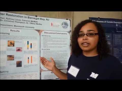 A preview image of the video: Video: Sydney Lucas: Summer Research Project