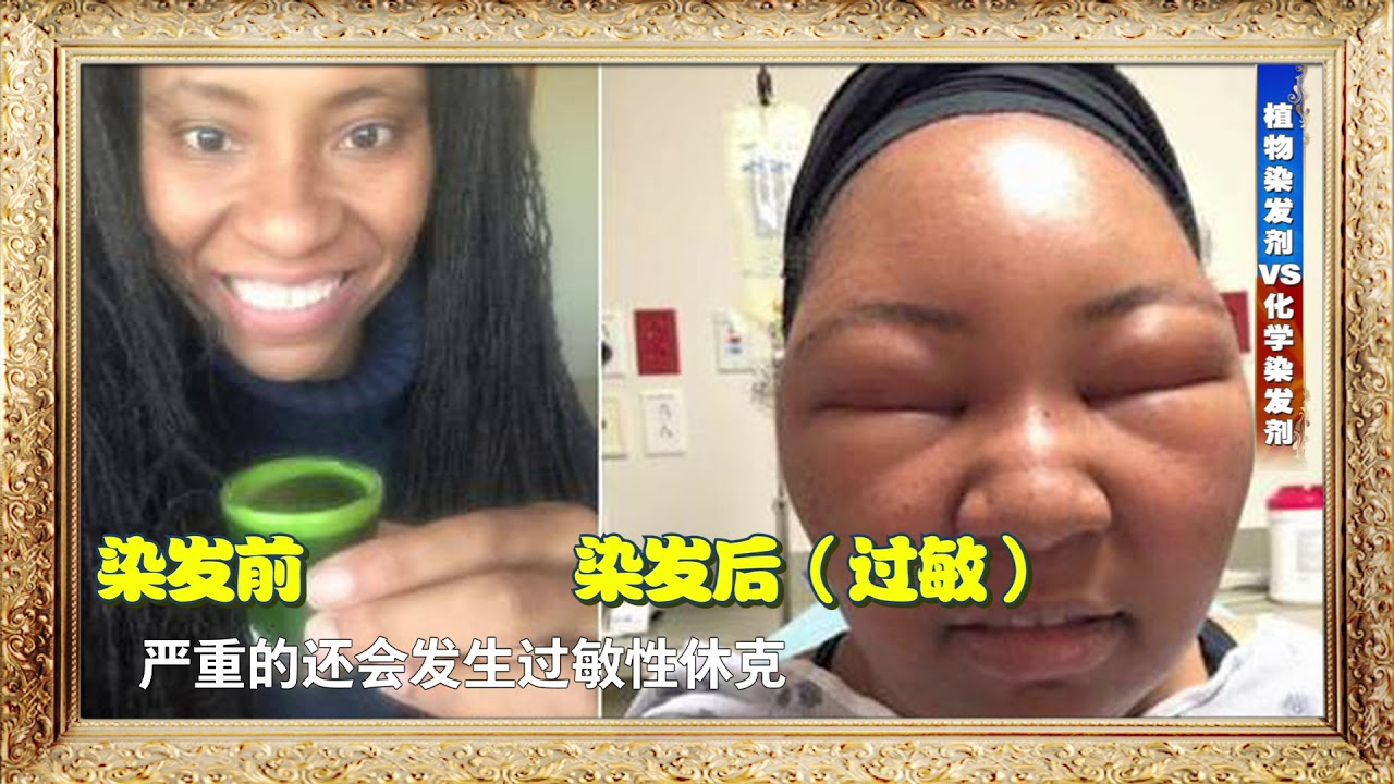 家屋室的主人 染发要选哪种染发剂 植物染发剂VS化学染发剂哪个更好 190319 江苏卫视新相亲大会