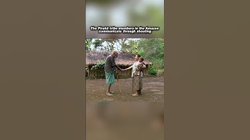 The Pirahã Tribe Communicate by Shouting