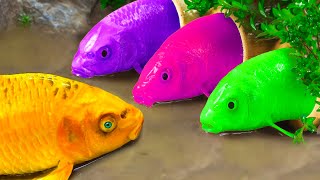 DIY - 귀여운 악어 수영장, 다채로운 물고기 | Satisfying Magnetic Rainbow Fish | 재미있는 스톱 모션 만화